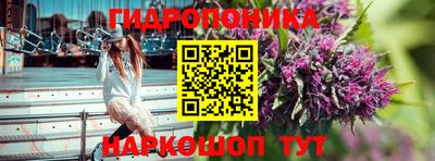 эйфоретик Абакан