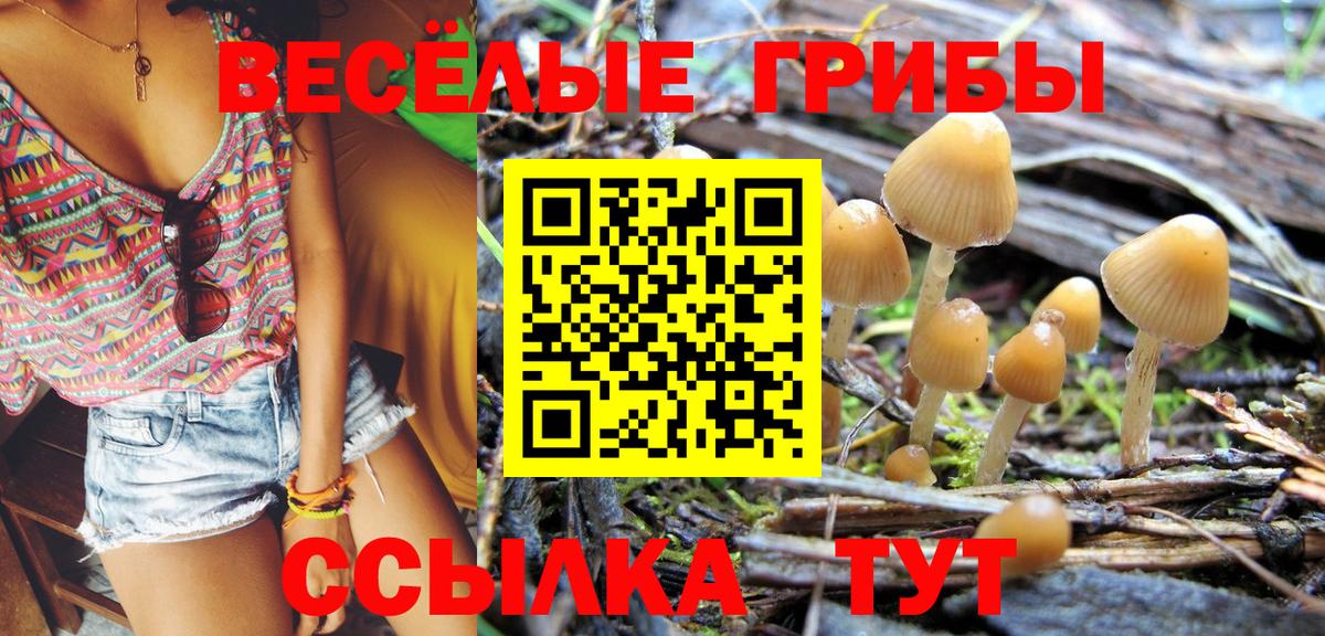 Амурск  закладка  Вход с VPN  Псилоцибиновые грибы MAGIC MUSHROOMS  Псилоцибиновые грибы мицелий 